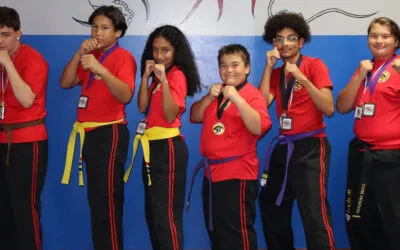 Martial Arts for Teens